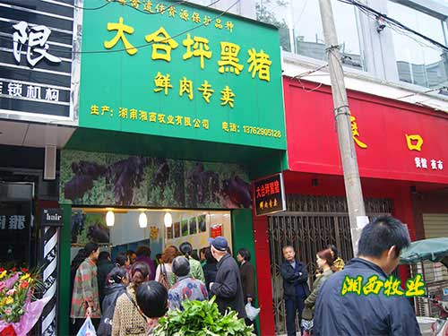 門(mén)店展示
