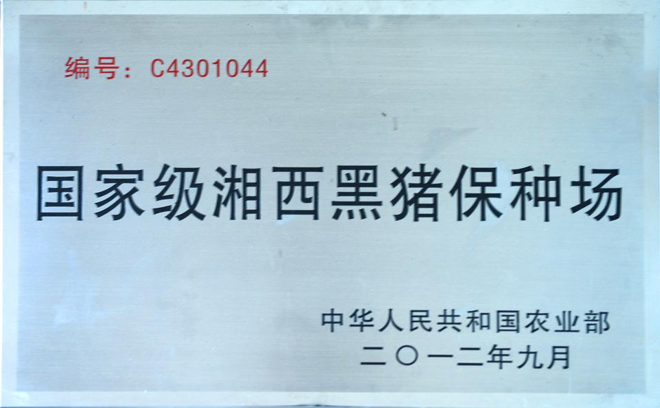 國(guó)家級(jí)湘西黑豬保種場(chǎng)
